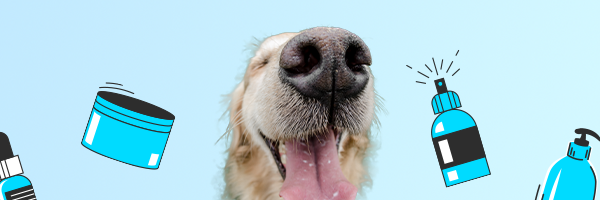 Pielęgnacja psiego nosa - na czym polega i dlaczego jest ważna