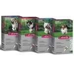 Bayer Advantix (4 - 10 kg) - preparat w płynie dla psów przeciwko kleszczom i pchłom