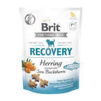 Brit Care Dog Functional Snack Recovery Harring - przysmak dla psa, 150g