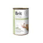 Brit Grain Free Veterinary Diet Diabetes - mokra karma dla psa wspierająca leczenie cukrzycy i wskazana przy chronicznym zapaleniu okrężnicy, 400g