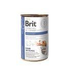 Brit Grain Free Veterinary Diet Recovery - mokra karma dla psa lub dla kota w trakcie rekonwalescencji, 400g