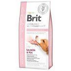 Brit Grain-free Veterinary Diet Hypoallergenic Salmon & Pea - sucha karma z łososiem i groszkiem dla psów z problemami dermatologicznymi i trawiennymi