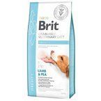 Brit Grain-free Veterinary Obesity - sucha karma dla psów z nadwagą i otyłych