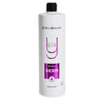 Iv San Bernard Shampoo Derm Y6 - profesjonalny szampon dla psa i kota ze skórą skłonną do alergii, 1l