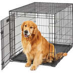 MidWest Life Stages Cage 1642 DD - klatka metalowa dla psa, składana, z dwoma wejściami (109 x 74 x 78 cm)