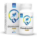 POKUSA Chondro Line ChondroJunior - preparat do wzbogacania diety psów w okresie intensywnego wzrostu, 120 tabletek