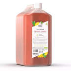 Wahl Copper Tones Shampoo – szampon wzmacniający pigment u psów o sierści brązowej i rudej, koncentrat 15:1, 5l